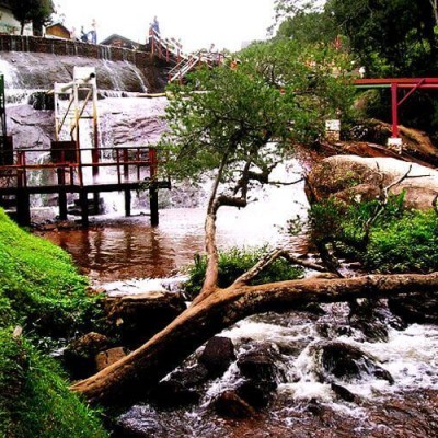 Explorando as Maravilhas de Campos do Jordão com o Conforto Exclusivo da Mantiqueira Turismo