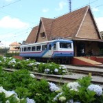 Curiosidades Fascinantes sobre Transporte: Explorando o Mundo da Mantiqueira Turismo